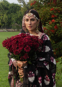 Shahnoor