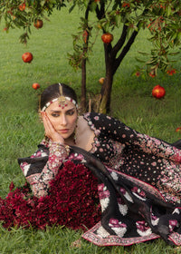 Shahnoor