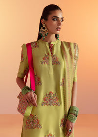 Platain Dupatta - Ready to ship